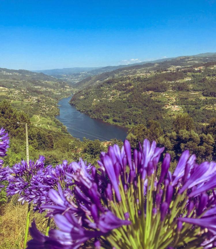 Mira Douro Valley Home Marco de Canaveses Exterior photo